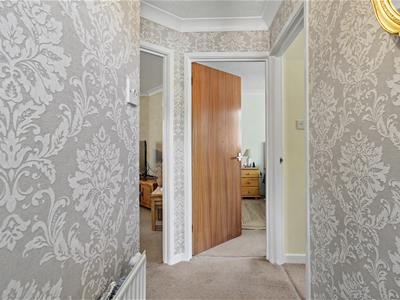Picture 7